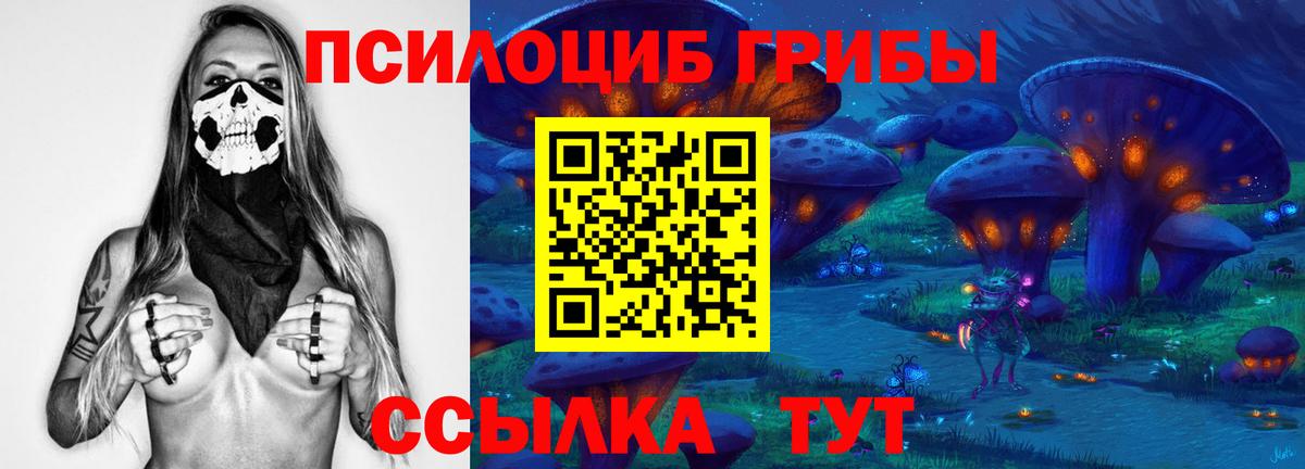 Мытищи  Галлюциногенные грибы ЛСД  Вход с VPN  Галлюциногенные грибы мухоморы 