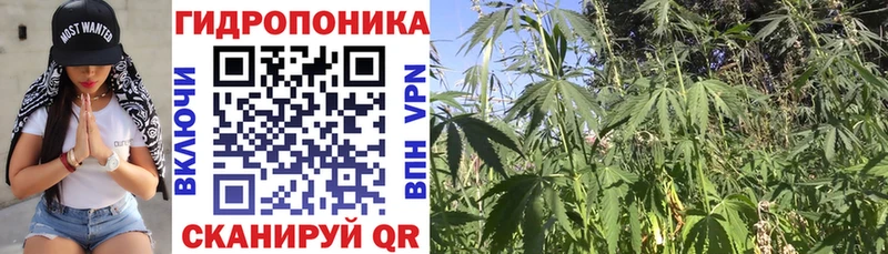 даркнет сайт Мытищи Канабис ГИДРОПОН